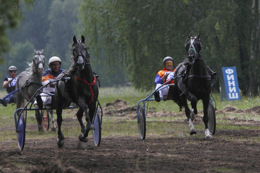В Тюменской области прошли состязания по конноспортивному спорту памяти Героя России Жумабая Раизова